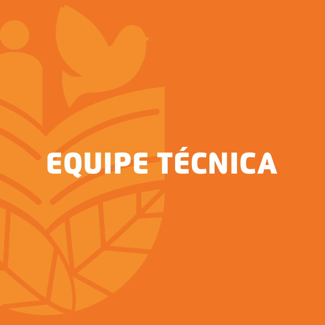 Equipe técnica