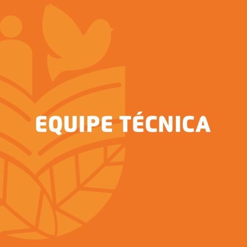 Equipe técnica